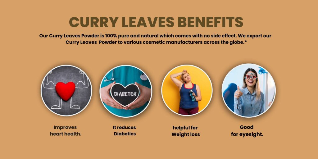 Curry Leaves Powder
