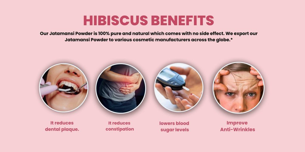 Hibiscus Powder