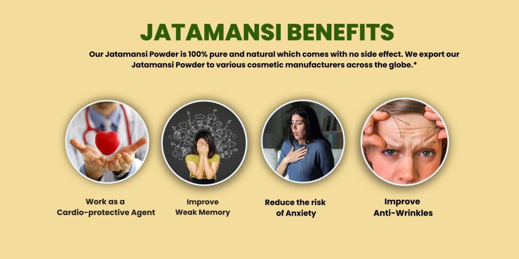 Jatamansi Powder
