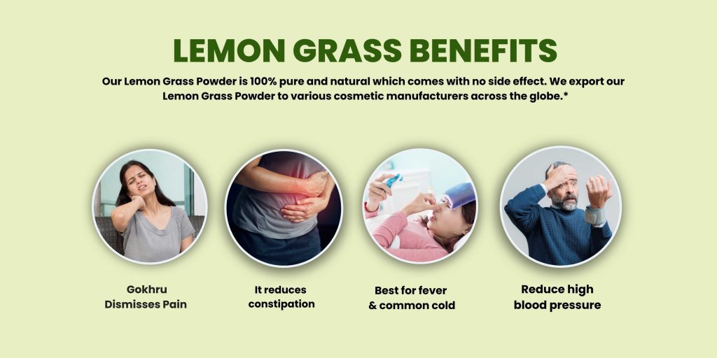 Lemon Grass Powder, Lemongrass Powder Manufacturers in India Third Party manufacture in delhi