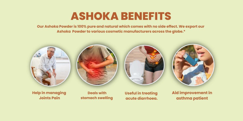 Ashoka Powder, Ashoka Powder | Natural Ayurvedic Herb | Manufacturer Exporter Supplier in India