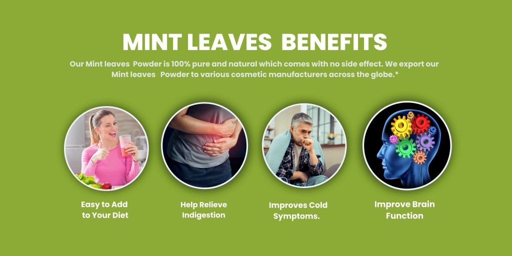 Mint Leave Powder