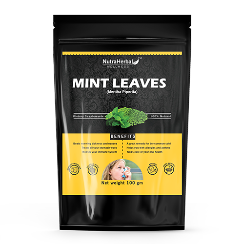 Mint Leave Powder Manufacturers