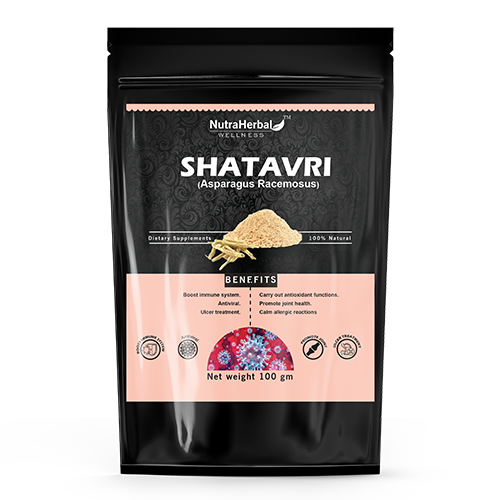 Shatavari Powder Manufacturers