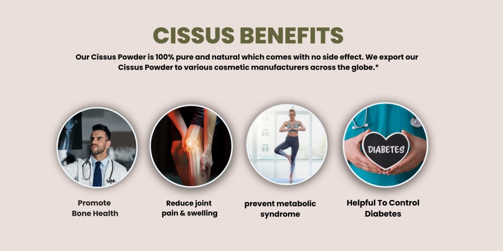 Cissus Powder