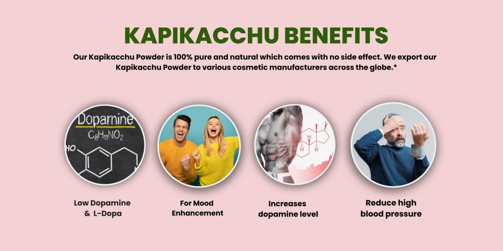 kapikacchu Powder