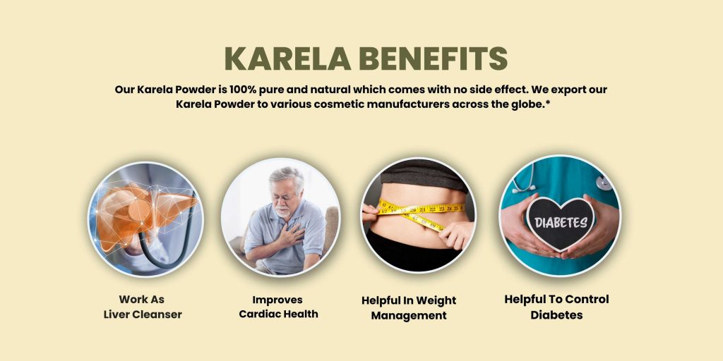 Karela Powder
