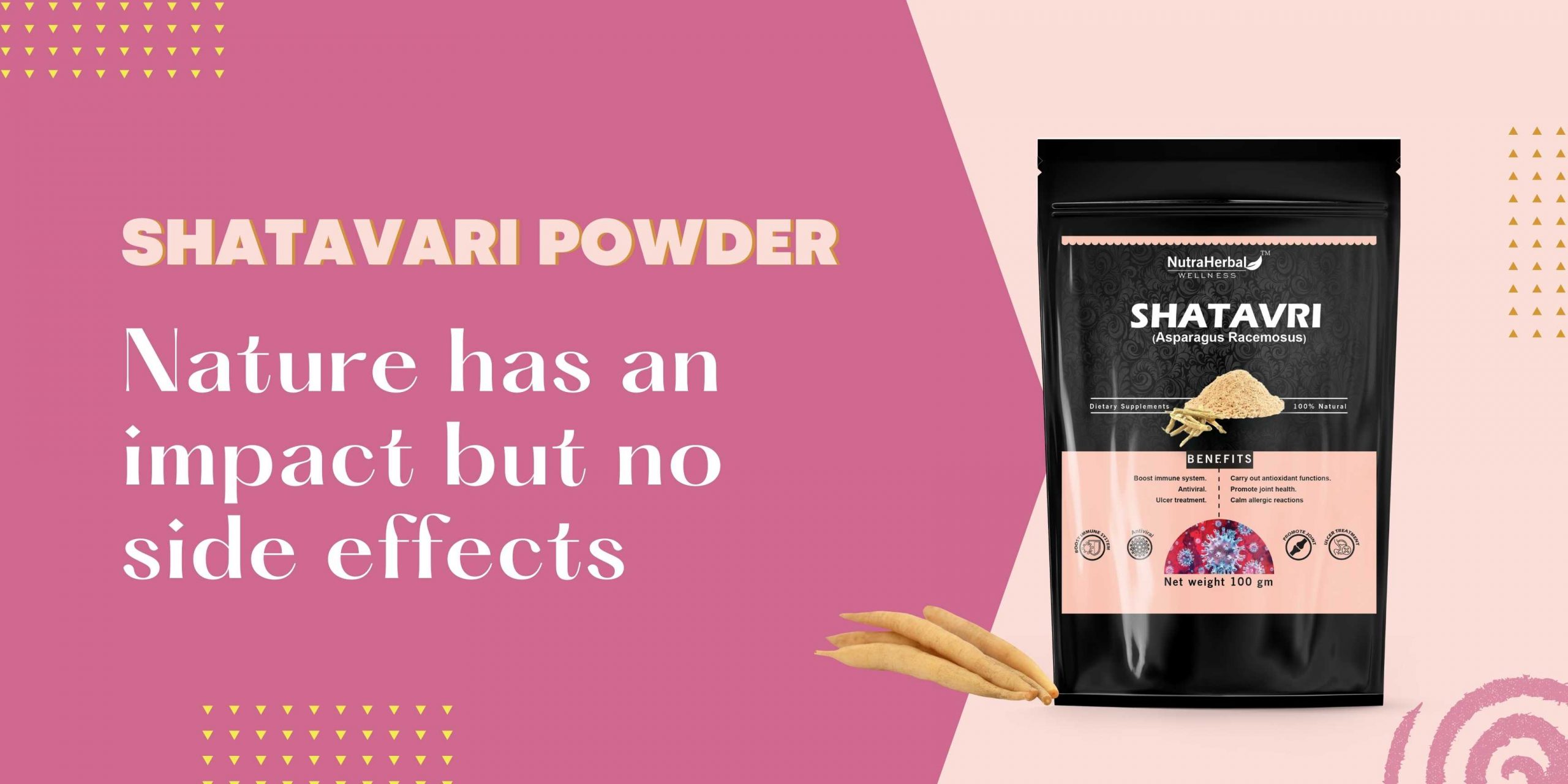 Shatavari Powder