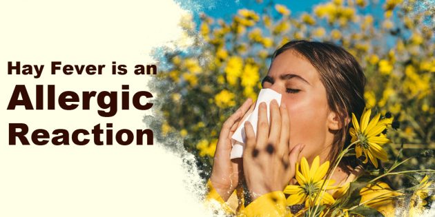 Hay Fever Symptoms, Understanding Hay Fever Symptoms, Treatments, and Relief