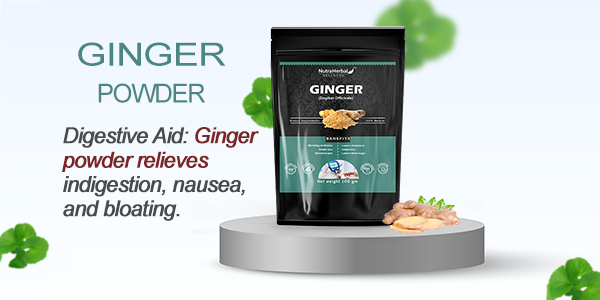 Ginger Powder Manufacturers