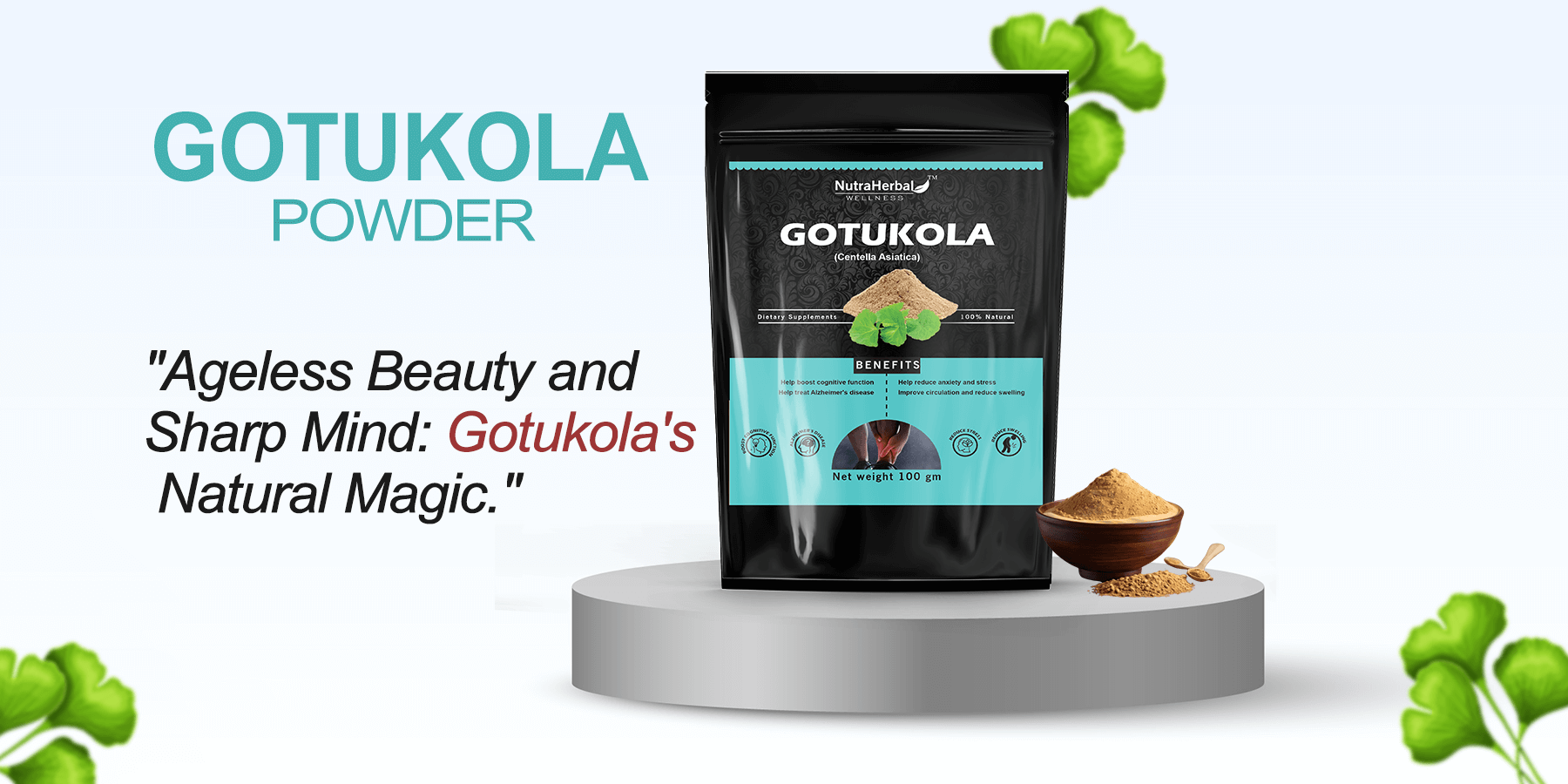 Gotu Kola Powder Manufacturers