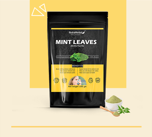 Mint Leave Powder Manufacturers