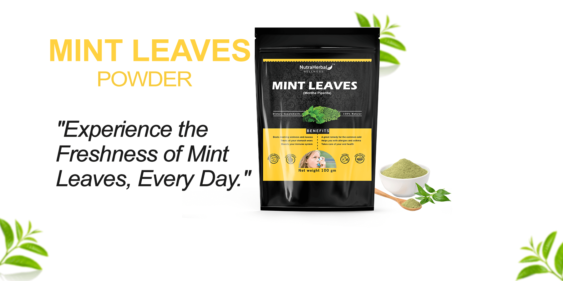 Mint Leave Powder Manufacturers