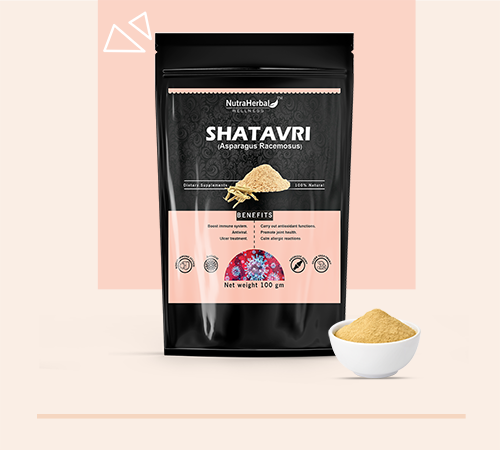 Shatavari Powder Manufacturers