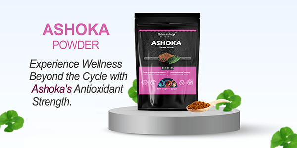 ashoka powder supplier