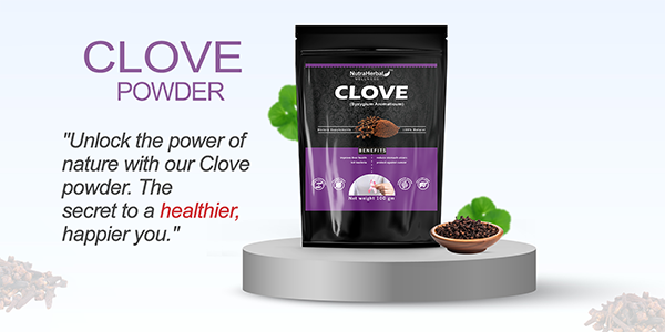 Cloves Powder Manufacturers