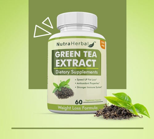 Green Tea Extract Manufacturers