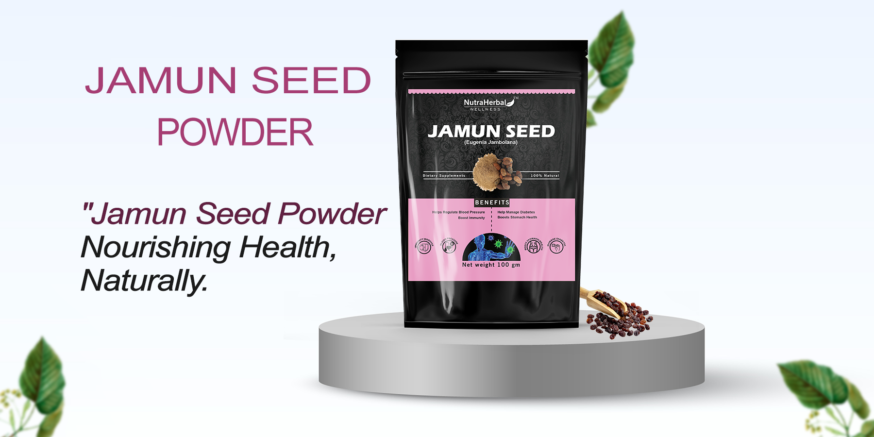 Jamun Seeds Powder Manufacturers