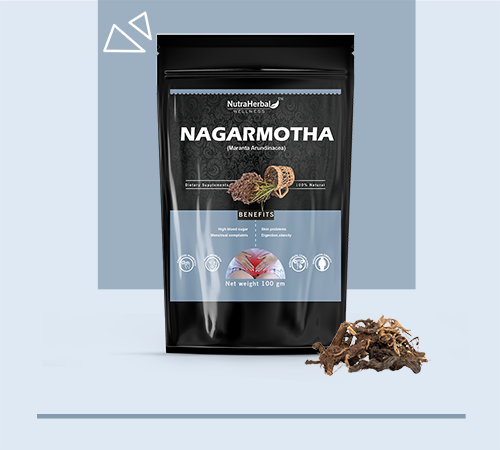 Nagarmotha Powder Manufacturers