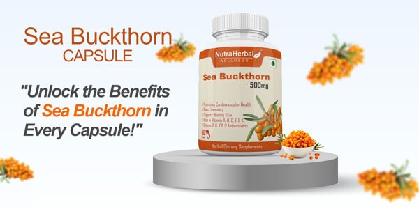 Sea Buckthorn Capsule Manufacturers