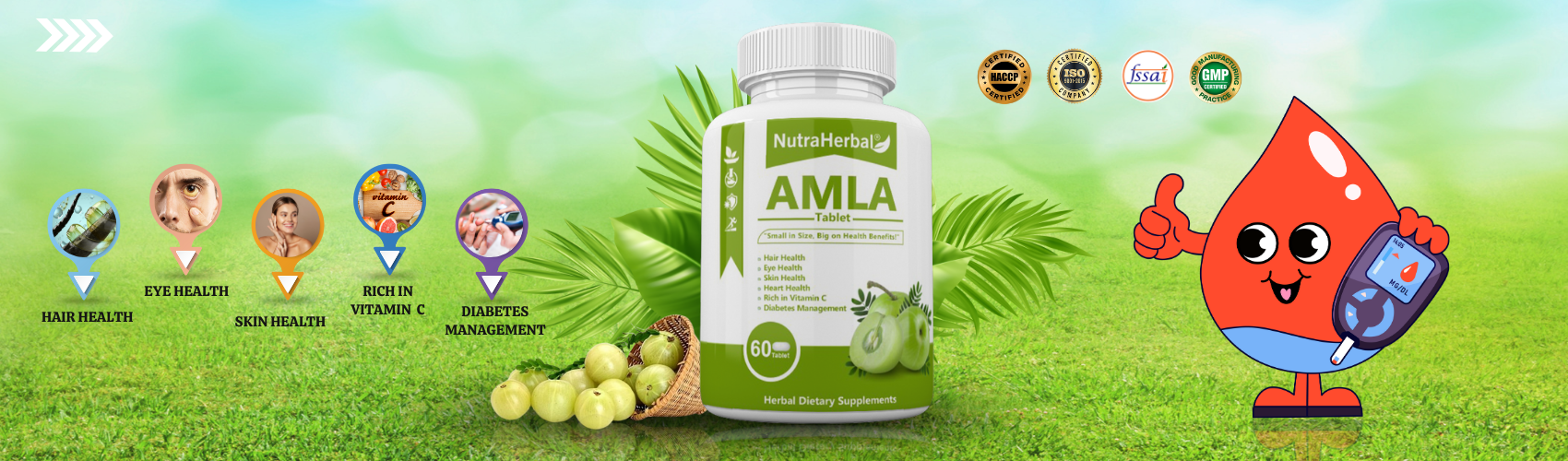 Nutraherbal Amla Tablet Manufacturer