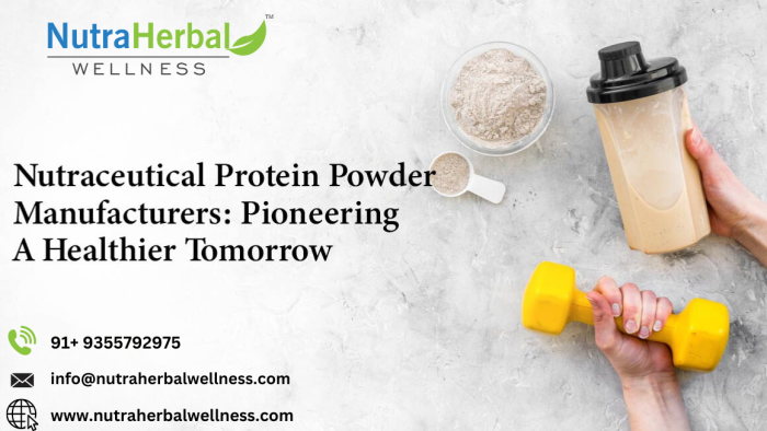 Protein Powder Manufacturer in India