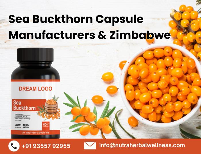 Sea Buckthorn Capsules Manufacturer in Zimbabwe