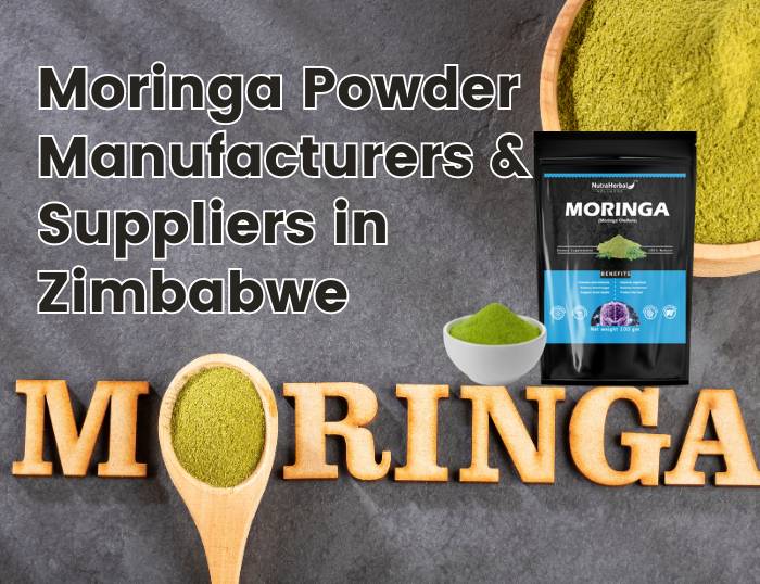 Moringa Powder Manufacturer & Supplier in Zimbabwe