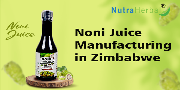 Noni Juice Manufacturing in Zimbabwe, Noni Juice, WHO & GMP Certified Ayurvedic third party manufacturers