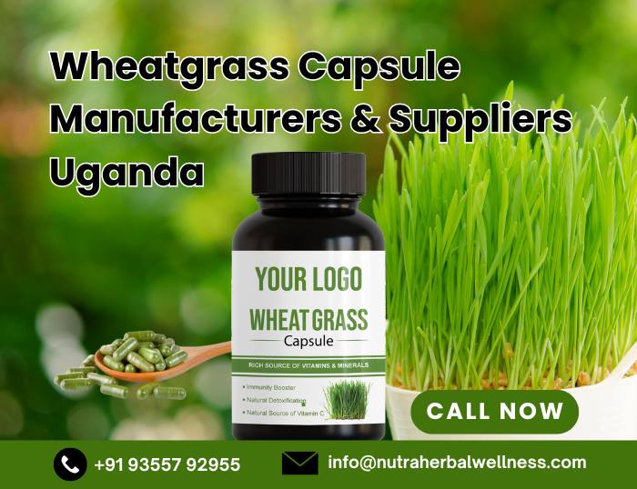 Wheatgrass Capsules Manufacturer, Wheatgrass Capsules Manufacturer and Supplier in Uganda