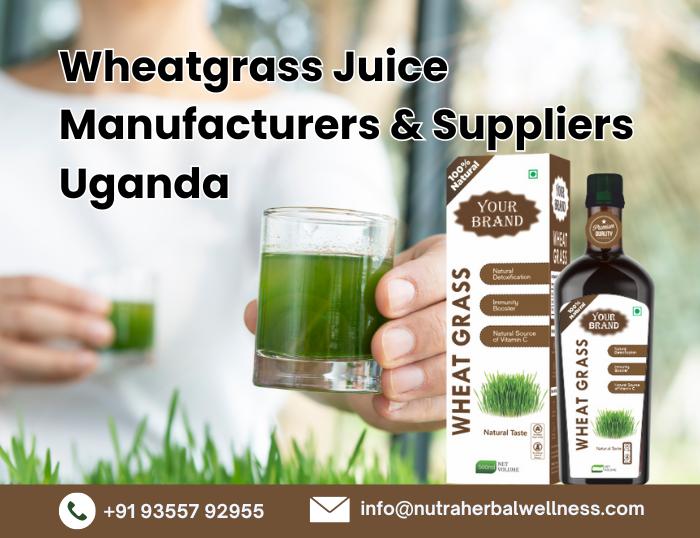 Wheatgrass Juice Manufacturer and Supplier in Uganda: Premium Herbal Juice Manufacturer