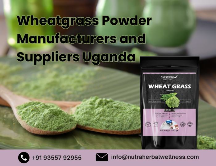 Wheatgrass Powder Manufacturer and Supplier in Uganda