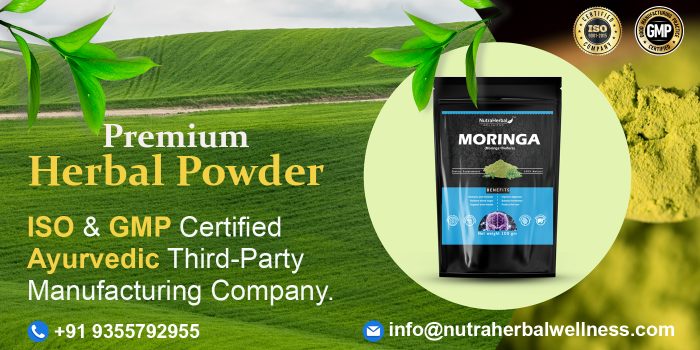 Moringa powder manufacturer and supplier