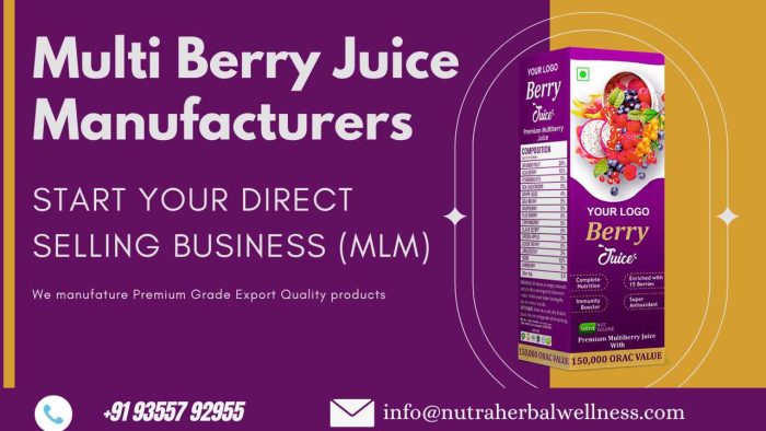 MultiBerry Juice Manufacturers in India