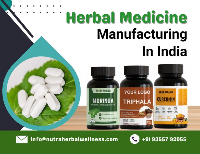 Herbal Medicine Manufacturers In India 2024