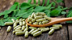 Moringa Powder & Capsules Manufacturers In India , Suppliers