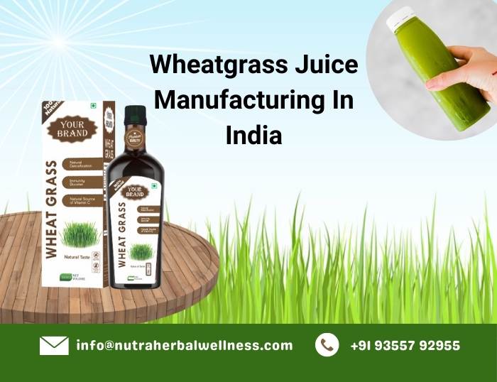 Wheatgrass Juice Manufacturer In India