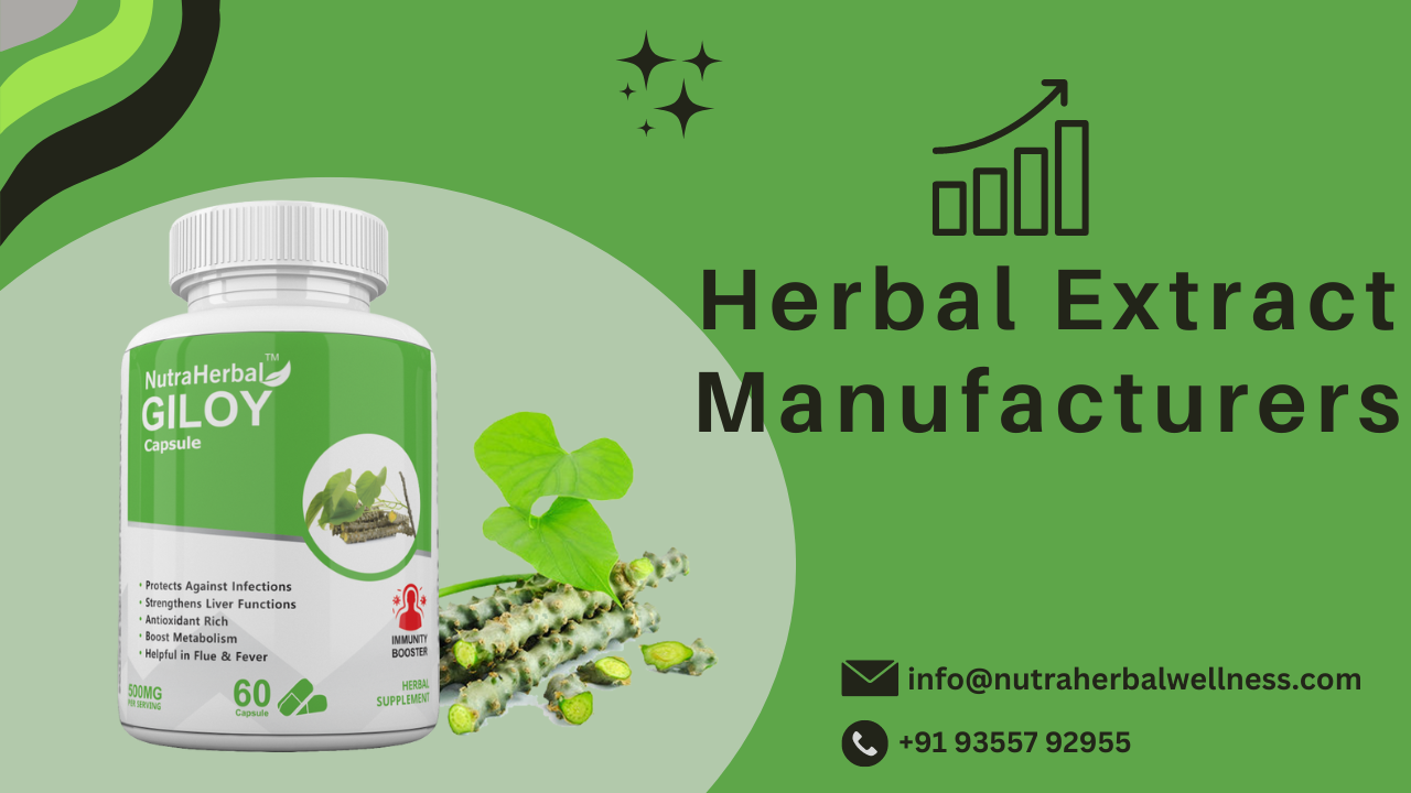 Top 10 Herbal Extract Manufacturers in India