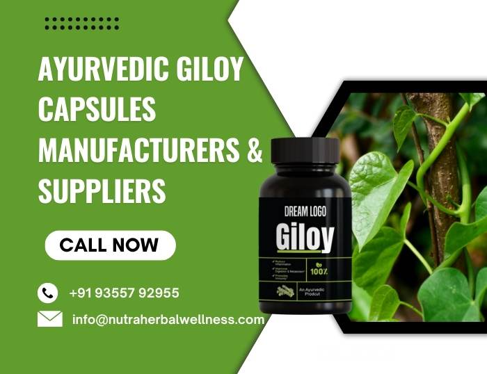 Ayurvedic Giloy Capsules Manufacturers & Suppliers