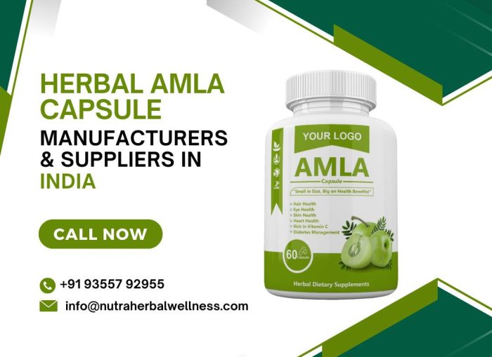 Herbal Amla Capsule Manufacturers & Suppliers in India