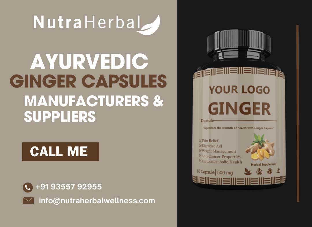 Ayurvedic Ginger Capsules Manufacturers & Suppliers