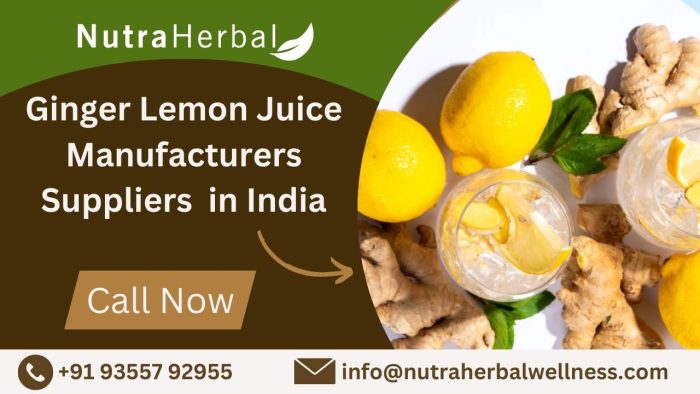 Ginger Lemon Juice Manufacturers & Suppliers in India