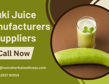 Lauki Juice Manufacturers & Suppliers