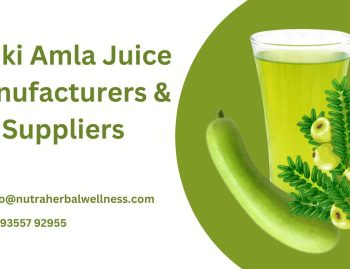 Lauki Amla Juice Manufacturers & Suppliers