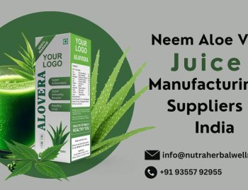Neem Aloe Vera Juice Manufacturers & Suppliers in India