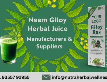 Neem Giloy Herbal Juice Manufacturers & Suppliers