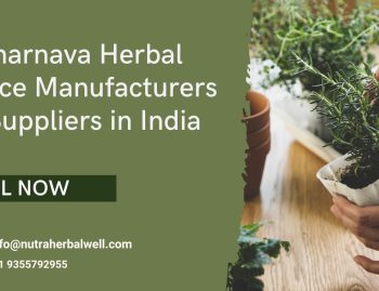 Punarnava herbal Juice manufacturers & suppliers in India