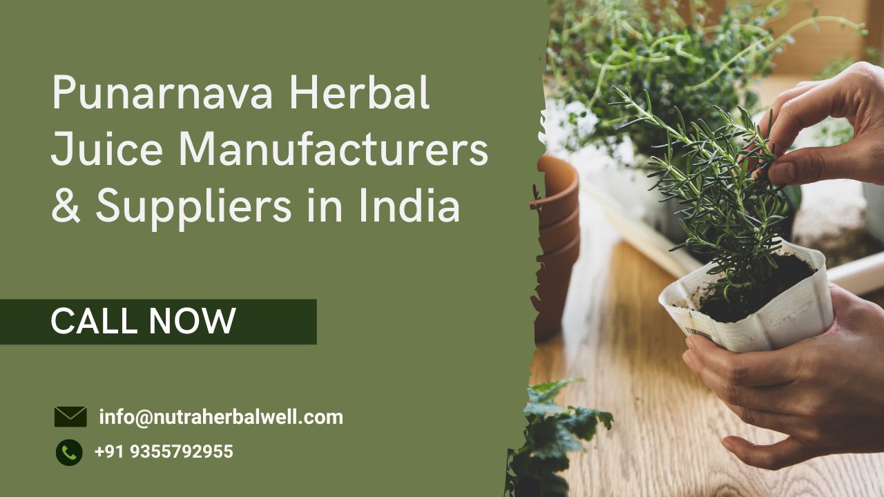 Punarnava herbal Juice manufacturers & suppliers in India