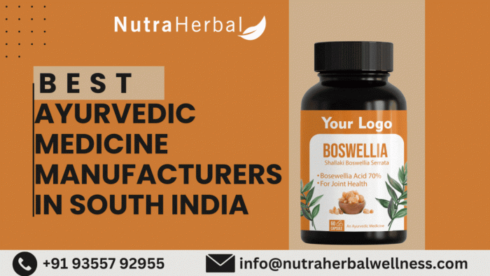 Best Ayurvedic Medicine Manufacturers in South India