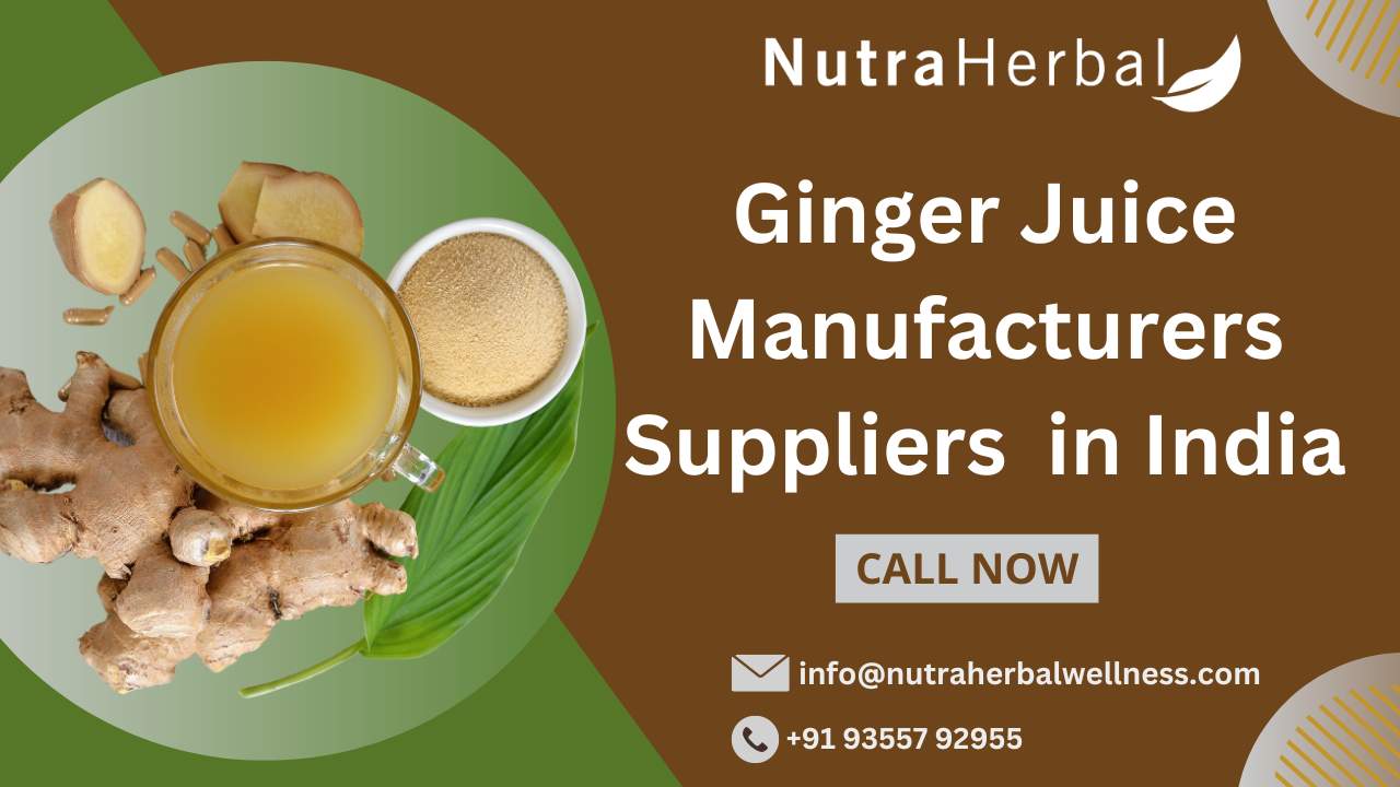 Ginger Juice Manufacturers & Suppliers in India